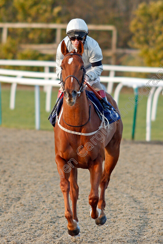 Cuckoo-Clock-0001 
 CUCKOO CLOCK (Franny Norton)
Lingfield 8 Feb 2020 - Pic Steven Cargill / Racingfotos.com