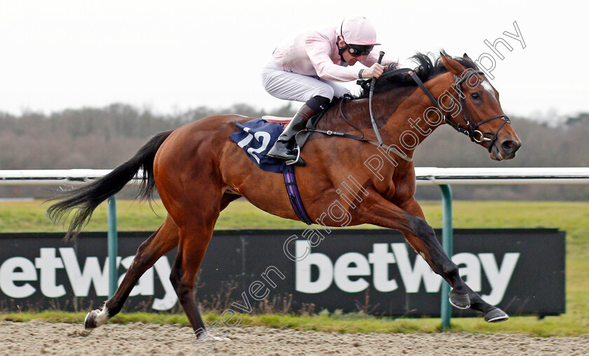 Shimmering-0005 
 SHIMMERING (Robert Havlin) wins The Ladbrokes Home Of The Odds Boost EBF Novice Stakes
Lingfield 18 Dec 2019 - Pic Steven Cargill / Racingfotos.com