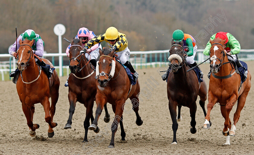 Ornate-0002 
 ORNATE (centre, Phil Dennis) beats LIHOU (left) ROYAL BIRTH (2nd right) and TONE THE BARONE (right) in The Betway Handicap
Lingfield 6 Mar 2021 - Pic Steven Cargill / Racingfotos.com