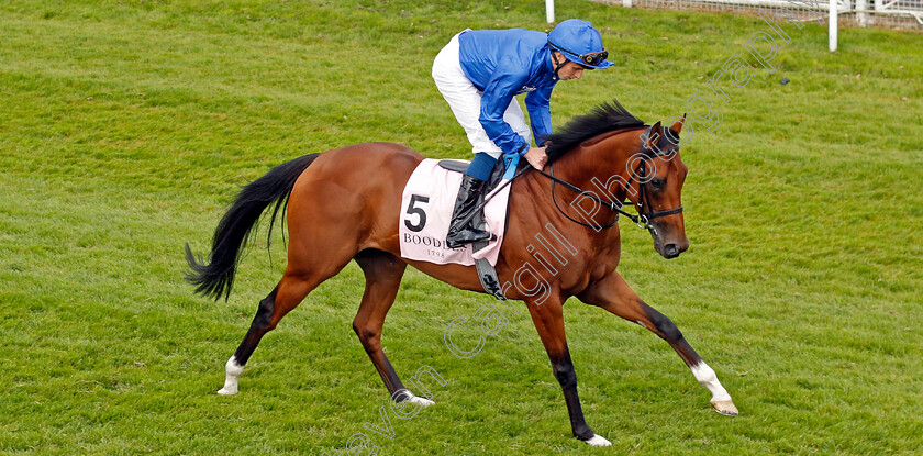 Hidden-Law-0006 
 HIDDEN LAW (William Buick) winner of The Boodles Chester Vase
Chester 8 May 2024 - Pic Steven Cargill / Racingfotos.com