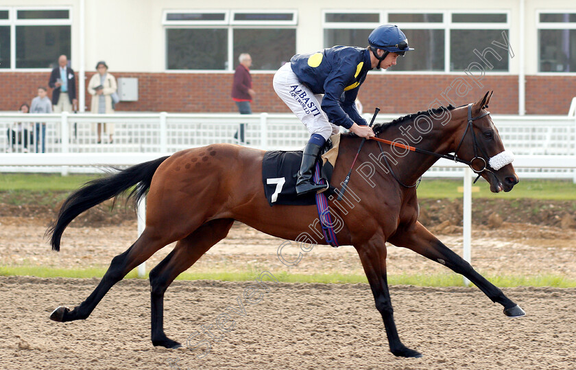 Luna-Eclipse-0001 
 LUNA ECLIPSE (Oisin Murphy) 
Chelmsford 31 May 2018 - Pic Steven Cargill / Racingfotos.com