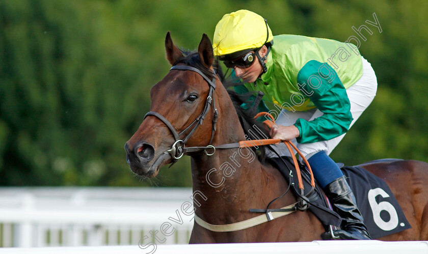 Metal-Merchant-0002 
 METAL MERCHANT (William Buick) winner of The Ire-Incentive It Pays To Buy Irish EBF Restricted Novice Stakes
Chelmsford 7 Jun 2022 - Pic Steven Cargill / Racingfotos.com