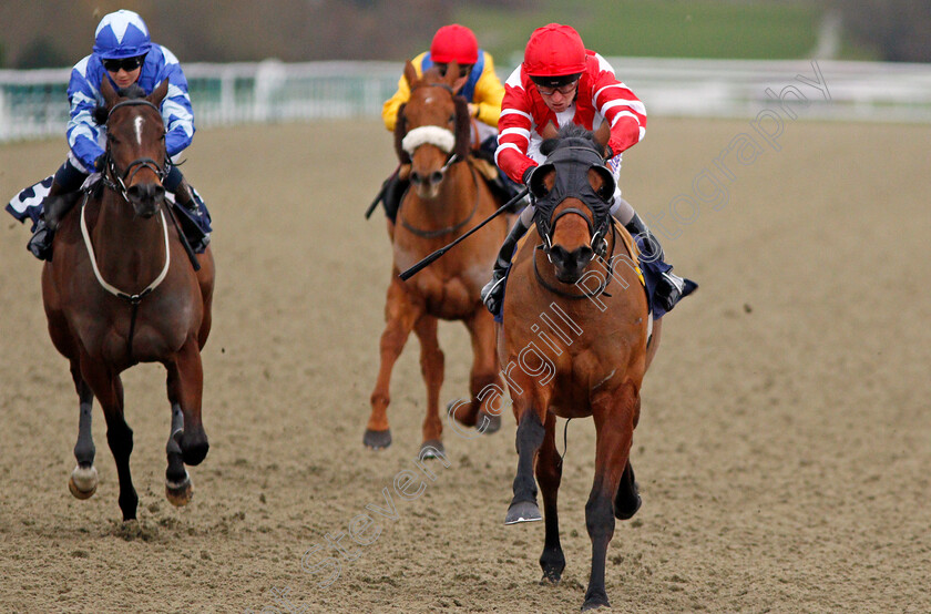 Nomorecalls-0004 
 NOMORECALLS (Joe Fanning) wins The Betway Novice Stakes Lingfield 2 Feb 2018 - Pic Steven Cargill / Racingfotos.com