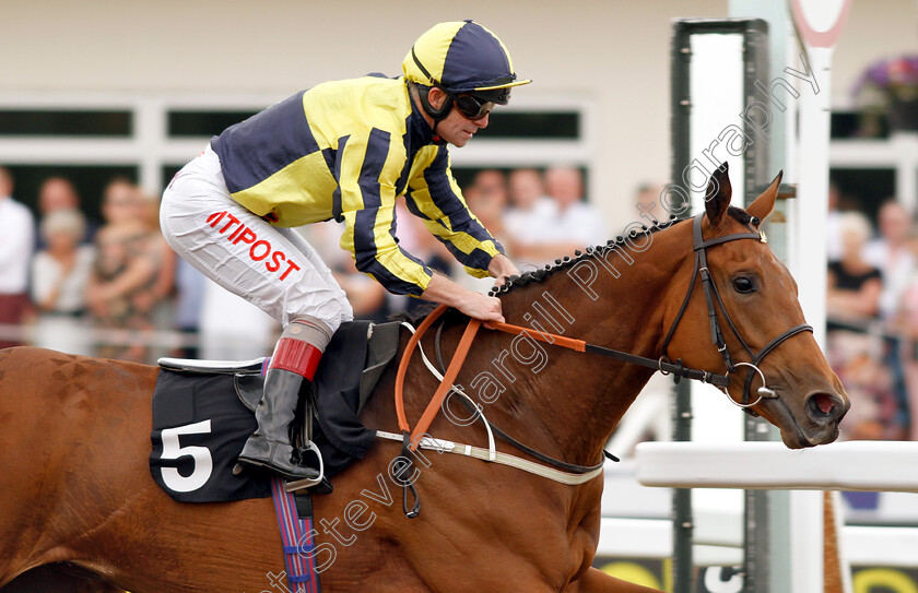 I ll-Have-Another-0005 
 I'LL HAVE ANOTHER (Franny Norton) wins The Bet toteplacepot At totesport.com Maiden Fillies Stakes
Chelmsford 13 Jun 2018 - Pic Steven Cargill / Racingfotos.com