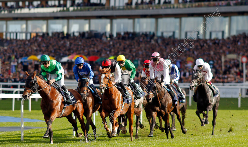 Kyprios-0007 
 KYPRIOS (centre, Ryan Moore) wins The Qipco British Champions Long Distance Cup
Ascot 19 Oct 2024 - Pic Steven Cargill / Racingfotos.com