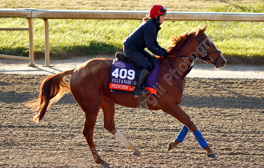 Princess-Yaiza-0001 
 PRINCESS YAIZA exercising ahead of the The Breeders' Cup Filly & Mare Turf
Churchill Downs USA 29 Oct 2018 - Pic Steven Cargill / Racingfotos.com