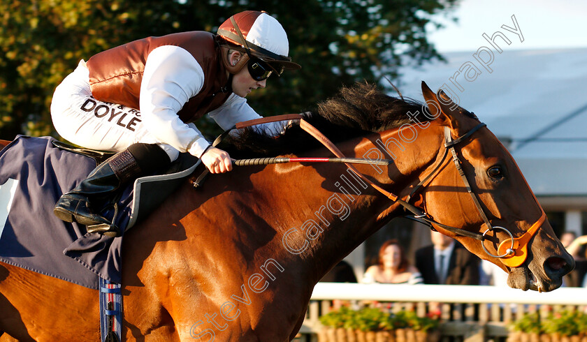 Flying-North-0006 
 FLYING NORTH (Hollie Doyle) wins The Fly London Southend Airport To Budapest British EBF Fillies Handicap
Newmarket 10 Aug 2018 - Pic Steven Cargill / Racingfotos.com