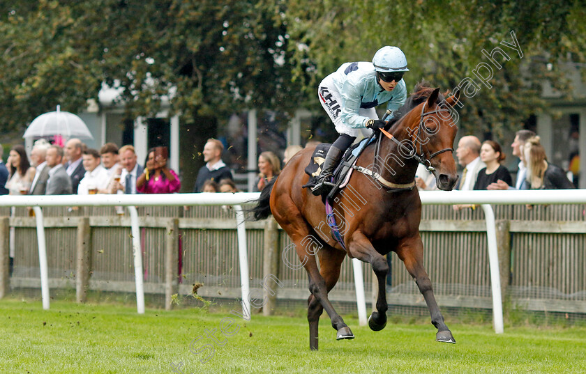 Reina-Del-Mar-0005 
 REINA DEL MAR (Saffie Osborne) wins The Turners Handicap
Newmarket 5 Aug 2023 - Pic Steven Cargill / Racingfotos.com