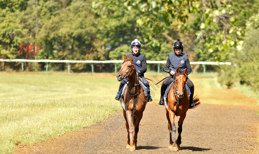 Bryony-Frost-0011 
 BRYONY FROST and Richard Hills exercising Arabian racehorses ahead of DIAR day at Newbury
Newmarket 27 Jun 2019 - Pic Steven Cargill / Racingfotos.com