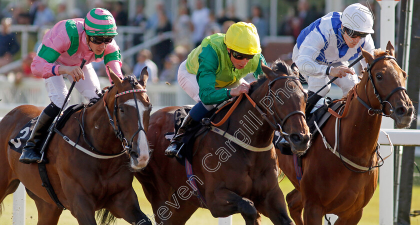 Metal-Merchant-0007 
 METAL MERCHANT (centre, William Buick) beats PRINCE NABEEL (left) and CRACKOVIA (right) in The Ire-Incentive It Pays To Buy Irish EBF Restricted Novice Stakes
Chelmsford 7 Jun 2022 - Pic Steven Cargill / Racingfotos.com