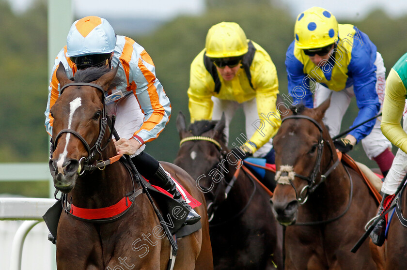 Spanish-Blaze-0001 
 SPANISH BLAZE (Kieran Shoemark) wins The Win Up To £2M With Golden Goals Handicap
Sandown 15 Jun 2024 - Pic Steven Cargill / Racingfotos.com