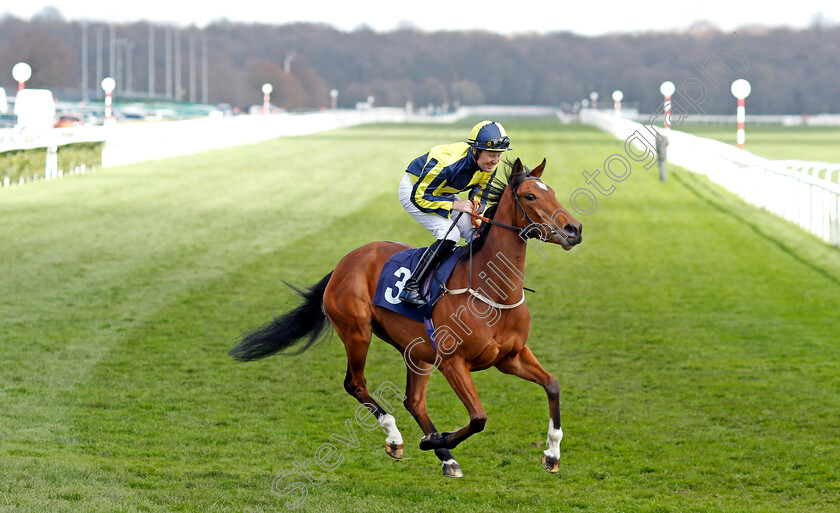 There s-The-Door-0005 
 THERE'S THE DOOR (Pat Cosgrave)
Doncaster 2 Apr 2023 - Pic Steven Cargill / Racingfotos.com