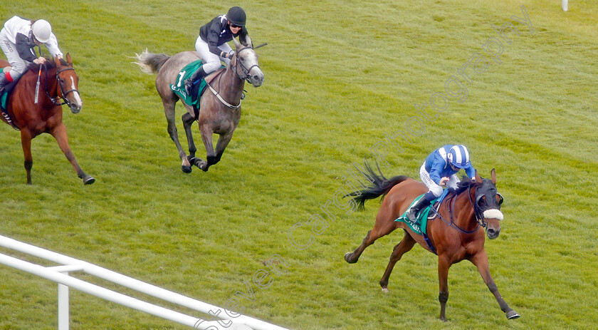 Awzaan-0001 
 AWZAAN (Martin Dwyer) wins The Royal Cavalry Of Oman Clarendon Stakes, Newbury 17 Aug 2019
Pic Steven Cargill / Racingfotos.com