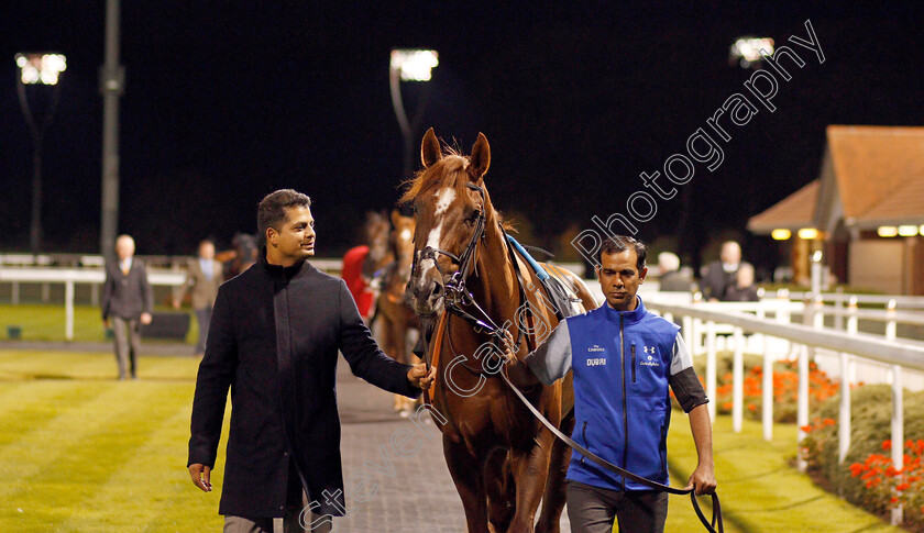 Boynton-0002 
 BOYNTON Chelmsford 12 Oct 2017 - Pic Steven Cargill / Racingfotos.com