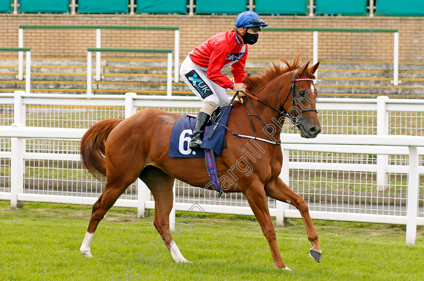 Praised-0001 
 PRAISED (Stevie Donohoe)
Yarmouth 22 Jul 2020 - Pic Steven Cargill / Racingfotos.com