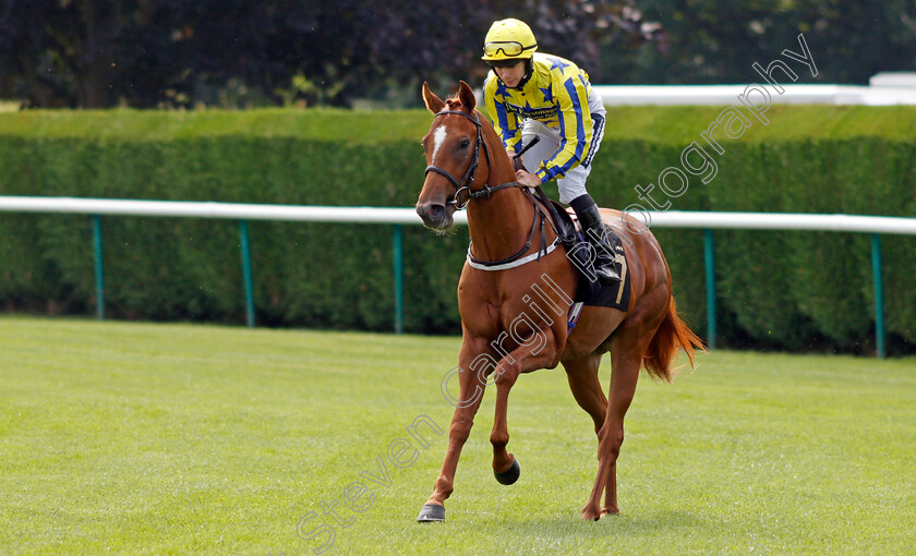 International-Boy-0001 
 INTERNATIONAL BOY (Billy Garritty)
Nottingham 10 Aug 2021 - Pic Steven Cargill / Racingfotos.com