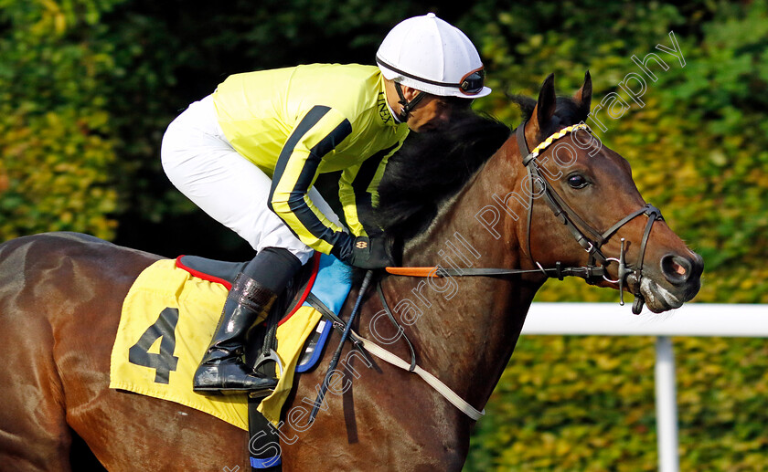 Flying-Fortress-0002 
 FLYING FORTRESS (Silvestre de Sousa)
Kempton 6 Sep 2024 - Pic Steven Cargill / Racingfotos.com