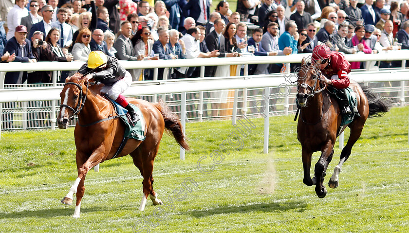 Stradivarius-0004 
 STRADIVARIUS (Frankie Dettori) beats COUNT OCTAVE (right) in The Weatherbys Hamilton Lonsdale Cup
York 24 Aug 2018 - Pic Steven Cargill / Racingfotos.com