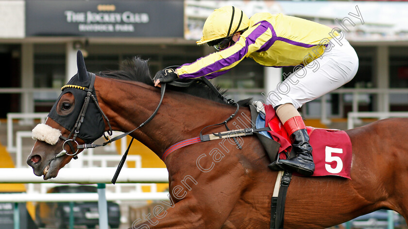 Billy-No-Mates-0004 
 BILLY NO MATES (Connor Beasley) wins The Watch Racing On Betfair For Free Handicap
Haydock 4 Sep 2020 - Pic Steven Cargill / Racingfotos.com