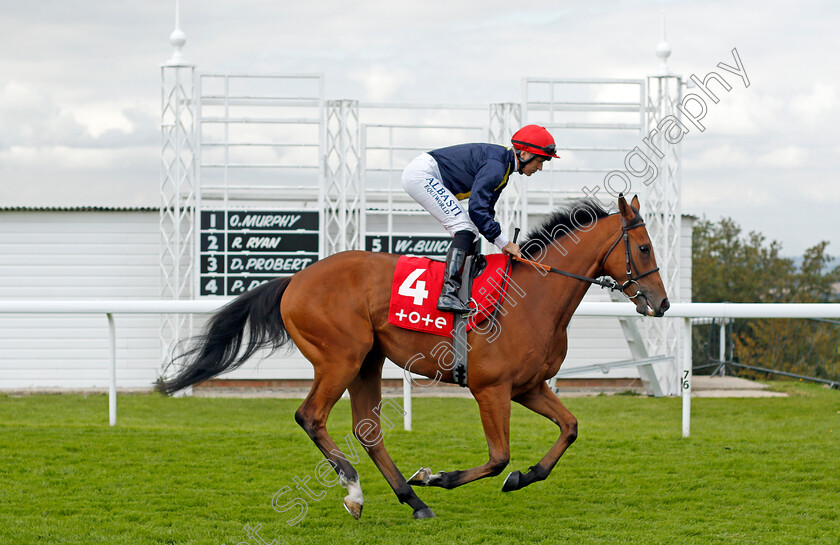 Wholeofthemoon-0001 
 WHOLEOFTHEMOON (Pat Dobbs)
Goodwood 29 Aug 2021 - Pic Steven Cargill / Racingfotos.com