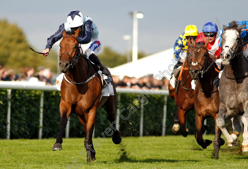 Picture-No-Sound-0005 
 PICTURE NO SOUND (Paul Hanagan) wins The DFS Handicap
Doncaster 13 Sep 2018 - Pic Steven Cargill / Racingfotos.com