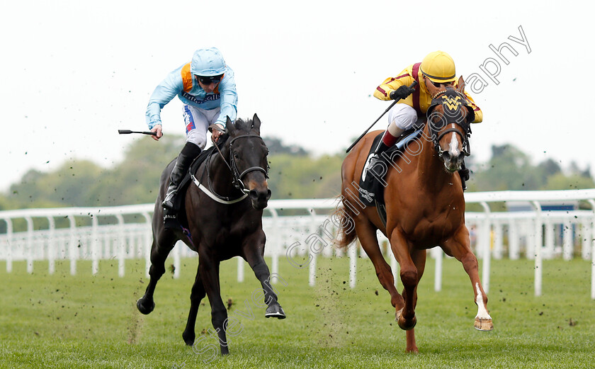 Ventura-Rebel-0004 
 VENTURA REBEL (left, Paul Hanagan) beats LADY PAULINE (right) in The Irish Thoroughbred Marketing Royal Ascot Two-Year-Old Trial Stakes
Ascot 1 May 2019 - Pic Steven Cargill / Racingfotos.com