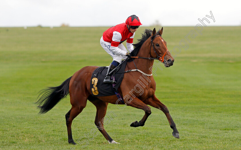 Further-Measure 
 FURTHER MEASURE (Jim Crowley)
Newmarket 29 Oct 2021 - Pic Steven Cargill / Racingfotos.com