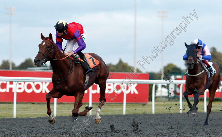 Land-Of-Oz-0002 
 LAND OF OZ (Luke Morris) wins The Matchbook Casino Handicap
Kempton 7 Aug 2019 - Pic Steven Cargill / Racingfotos.com