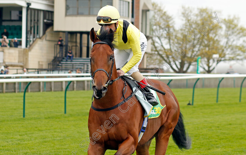 Mukeedd-0002 
 MUKEEDD (Andrea Atzeni)
Newmarket 18 Apr 2023 - Pic Steven Cargill / Racingfotos.com