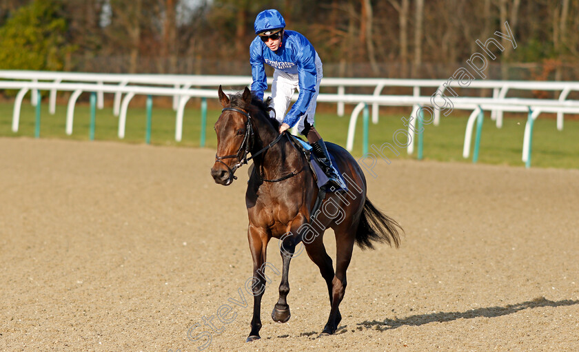 Beauty-Stone-0001 
 BEAUTY STONE (James Doyle)
Lingfield 9 Dec 2019 - Pic Steven Cargill / Racingfotos.com