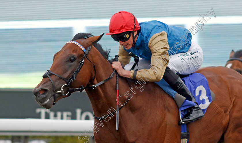 Dunamase-0002 
 DUNAMASE (James Doyle) wins The Unitbet British Stallion Studs EBF Novice Stakes
Kempton 28 Aug 2024 - Pic Steven Cargill / Racingfotos.com