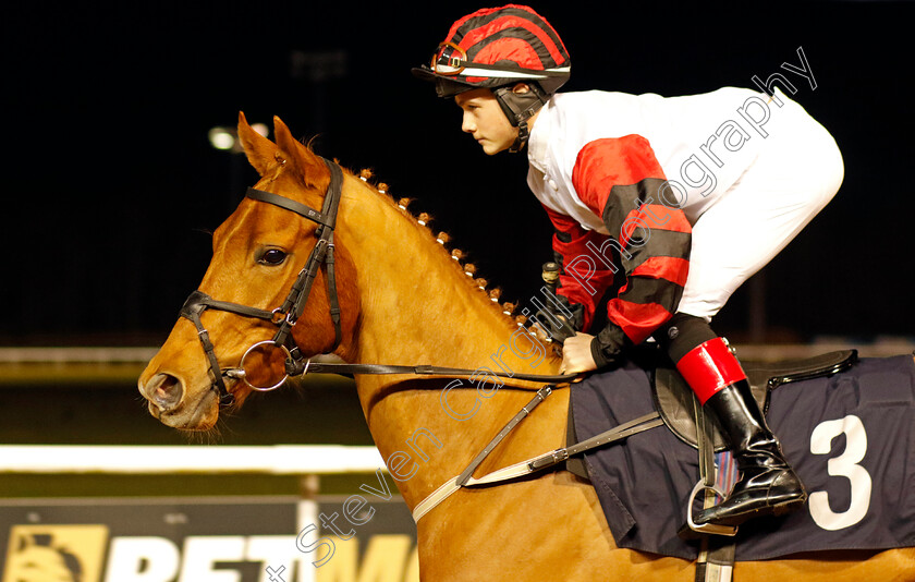 Rising-Force-0001 
 RISING FORCE (Jack Doughty)
Wolverhampton 9 Mar 2024 - Pic Steven Cargill / Racingfotos.com