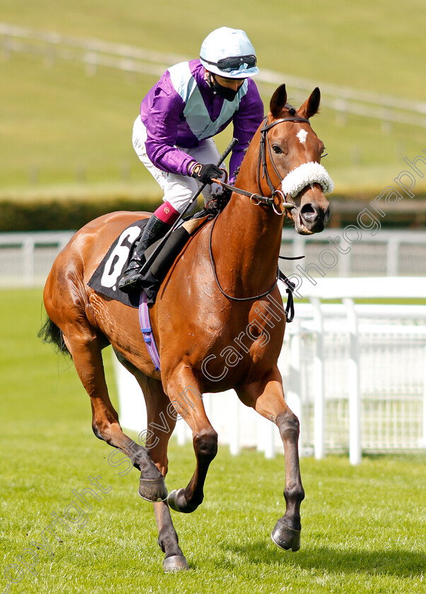 Quickstep-Lady-0002 
 QUICKSTEP LADY (Oisin Murphy) winner of The Ladbrokes Giving Extra Places Every Day Novice Stakes
Goodwood 28 Aug 2020 - Pic Steven Cargill / Racingfotos.com