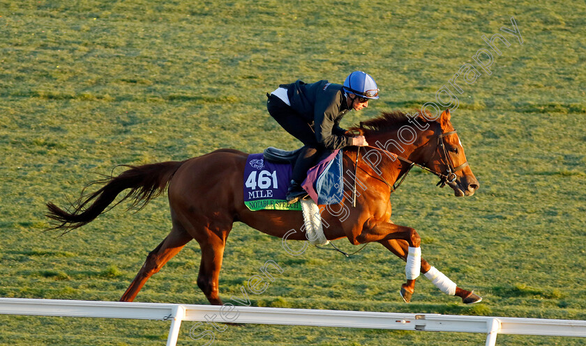 Notable-Speech-0001 
 NOTABLE SPEECH (William Buick) training for the Breeders' Cup Mile
Del Mar USA 30 Oct 2024 - Pic Steven Cargill / Racingfotos.com