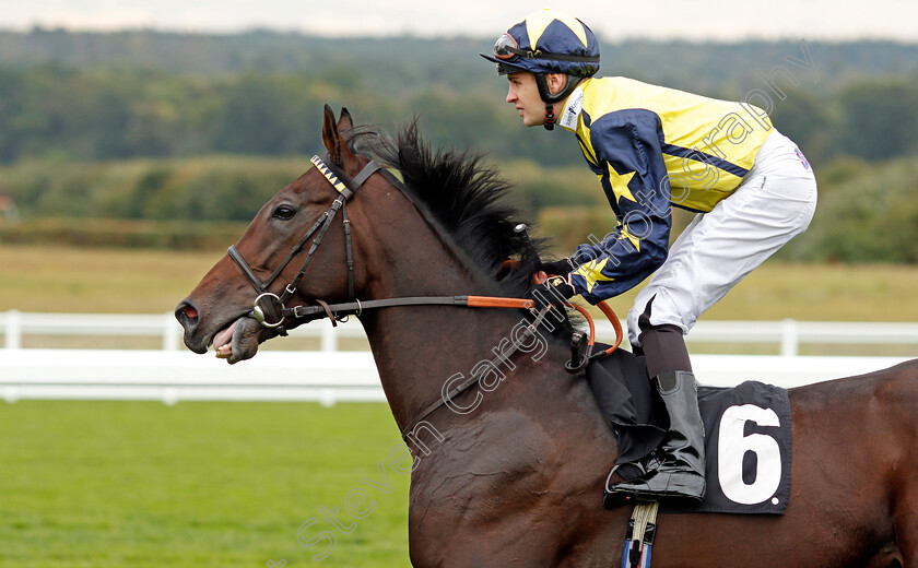 Surrey-Thunder-0001 
 SURREY THUNDER (Charles Bishop)
Ascot 5 Oct 2019 - Pic Steven Cargill / Racingfotos.com