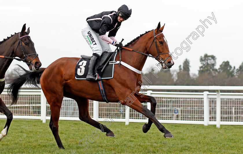 Gallyhill-0001 
 GALLYHILL (Nico de Boinville) 
Ascot 20 Feb 2021 - Pic Steven Cargill / Racingfotos.com