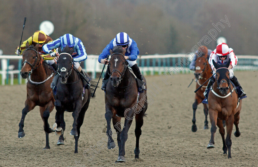 Al-Zaraqaan-0003 
 AL ZARAQAAN (centre, Tom Marquand) beats PIRATE KING (2nd left) FURZIG (left) and SCARLET DRAGON (right) in The Betway Handicap
Lingfield 19 Dec 2020 - Pic Steven Cargill / Racingfotos.com