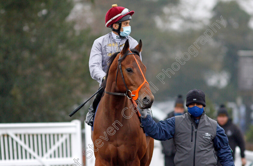 Mekbat-0002 
 MEKBAT (Sean Levey)
Lingfield 25 Jan 2022 - Pic Steven Cargill / Racingfotos.com