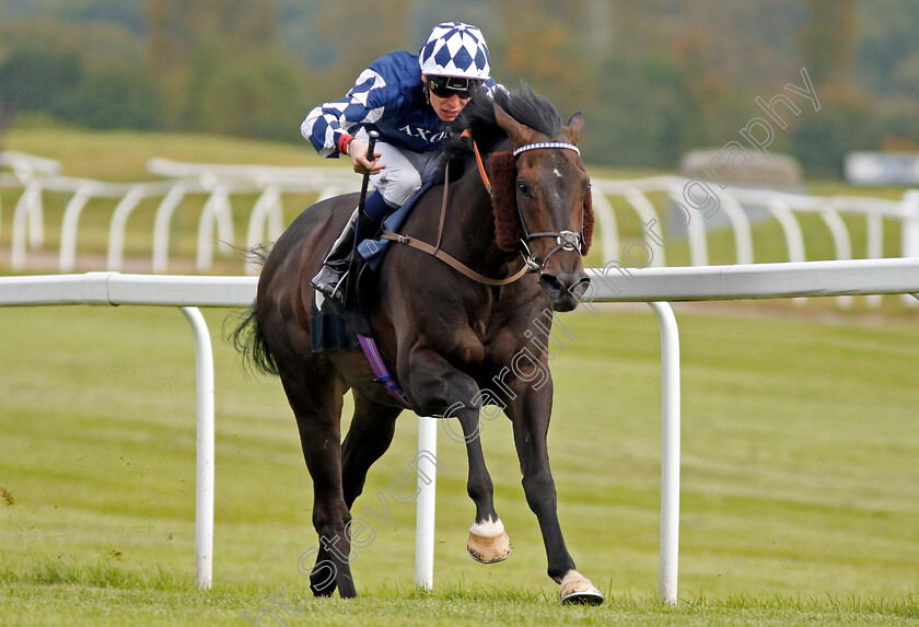 Blakeney-Point-0003 
 BLAKENEY POINT (Kieran Shoemark) wins The Dubai Duty Free Handicap Newbury 22 Sep 2017 - Pic Steven Cargill / Racingfotos.com