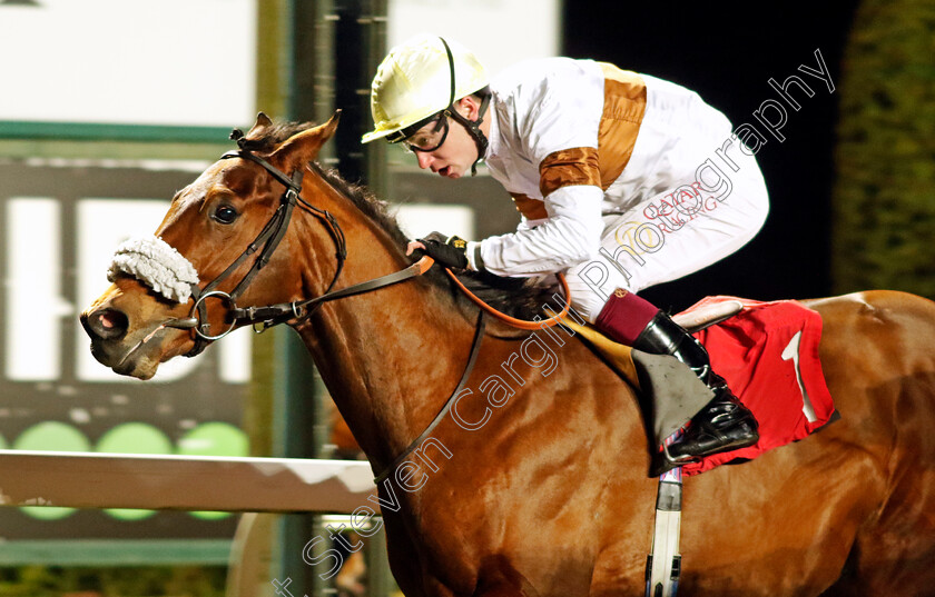 Lessay-0001 
 LESSAY (Oisin Murphy) wins The Unibet / British Stallion Studs EBF Novice Stakes
Kempton 13 Dec 2023 - Pic Steven Cargill / Racingfotos.com