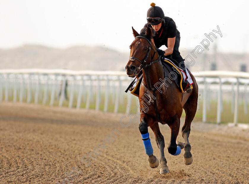 Bangkok-0009 
 BANGKOK training for the Bahrain International Trophy
Rashid Equestrian & Horseracing Club, Bahrain, 18 Nov 2020