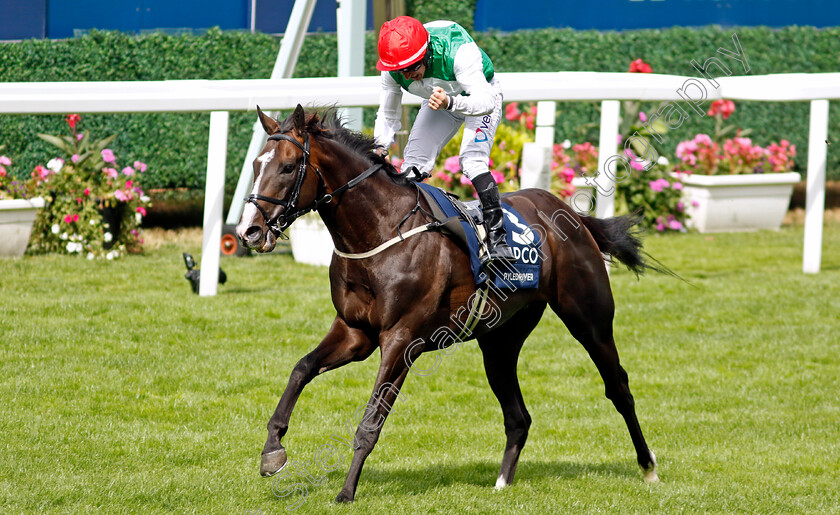 Pyledriver-0012 
 PYLEDRIVER (P J McDonald) wins The King George VI & Queen Elizabeth Qipco Stakes
Ascot 23 Jul 2022 - Pic Steven Cargill / Racingfotos.com