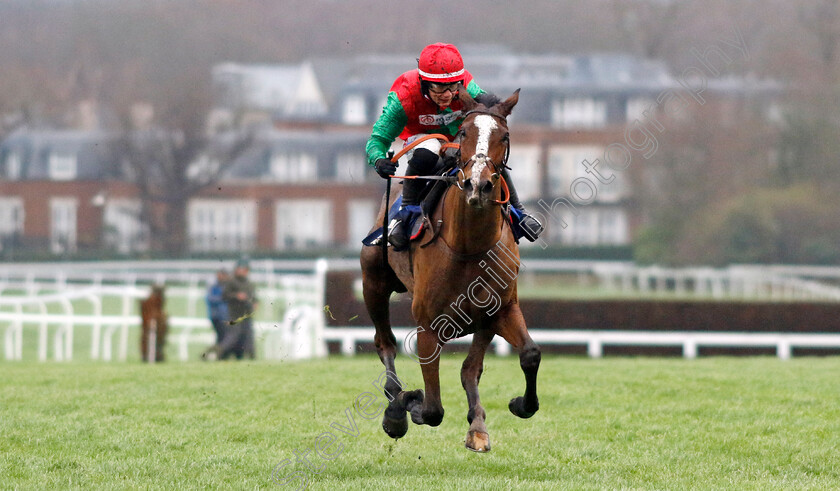 Henri-The-Second-0005 
 HENRI THE SECOND (Freddie Gingell) wins The Pertemps Network Handicap Hurdle
Sandown 7 Dec 2024 - Pic Steven Cargill / Racingfotos.com