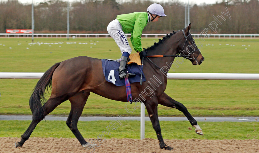 Papa-Stour-0001 
 PAPA STOUR (Oisin Murphy) winner of The 32RedSport.com Handicap Wolverhampton 4 Jan 2018 - Pic Steven Cargill / Racingfotos.com