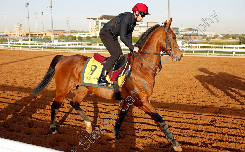 Luxembourg-0001 
 LUXEMBOURG training for The Neom Turf Cup
King Abdulaziz Racecourse, Saudi Arabia 20 Feb 2024 - Pic Steven Cargill / Racingfotos.com