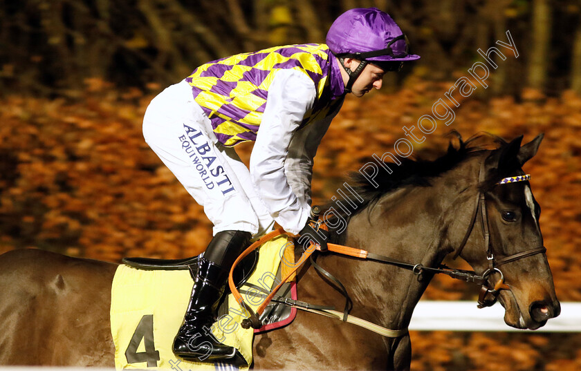 Born-A-Rebel-0001 
 BORN A REBEL (Adam Farragher)
Kempton 13 Dec 2023 - Pic Steven Cargill / Racingfotos.com