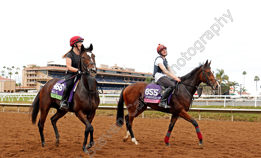 Roly-Poly-and-Happily-0001 
 ROLY POLY (Mile) and HAPPILY (Juvenile Fillies Turf) training for The Breeders' Cup at Del Mar 2 Nov 2017 - Pic Steven Cargill / Racingfotos.com