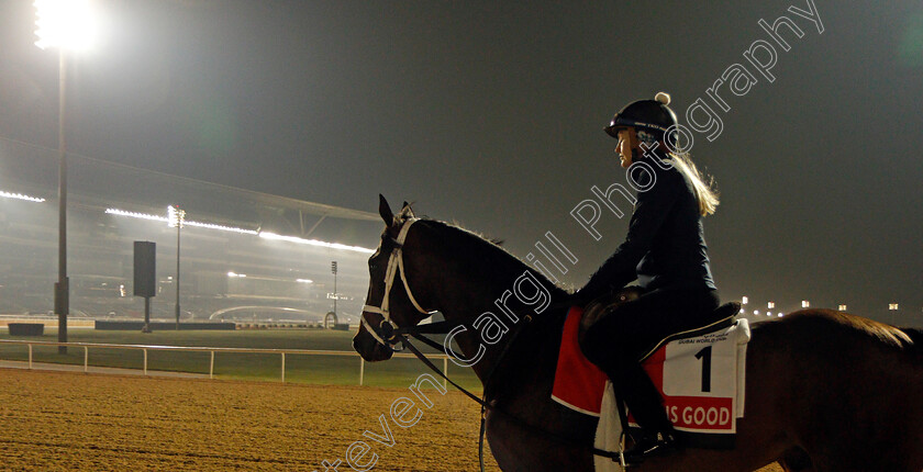 Life-Is-Good-0007 
 LIFE IS GOOD training for the Dubai World Cup
Meydan, Dubai, 22 Mar 2022 - Pic Steven Cargill / Racingfotos.com