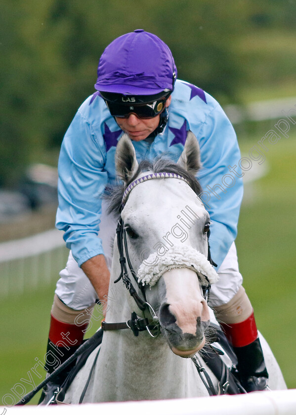 Dors-Toyboy-0001 
 DORS TOYBOY (Jimmy Quinn)
Newmarket 4 Aug 2023 - Pic Steven Cargill / Racingfotos.com