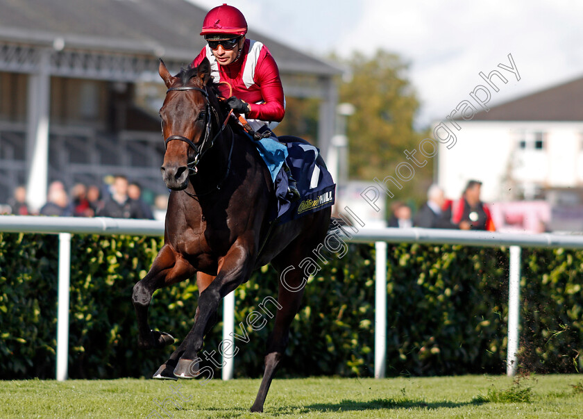 Lahore-0006 
 LAHORE (Silvestre De Sousa) wins The William Hill Get The App On Google Play Handicap Doncaster 13 Sep 2017 - Pic Steven Cargill / Racingfotos.com